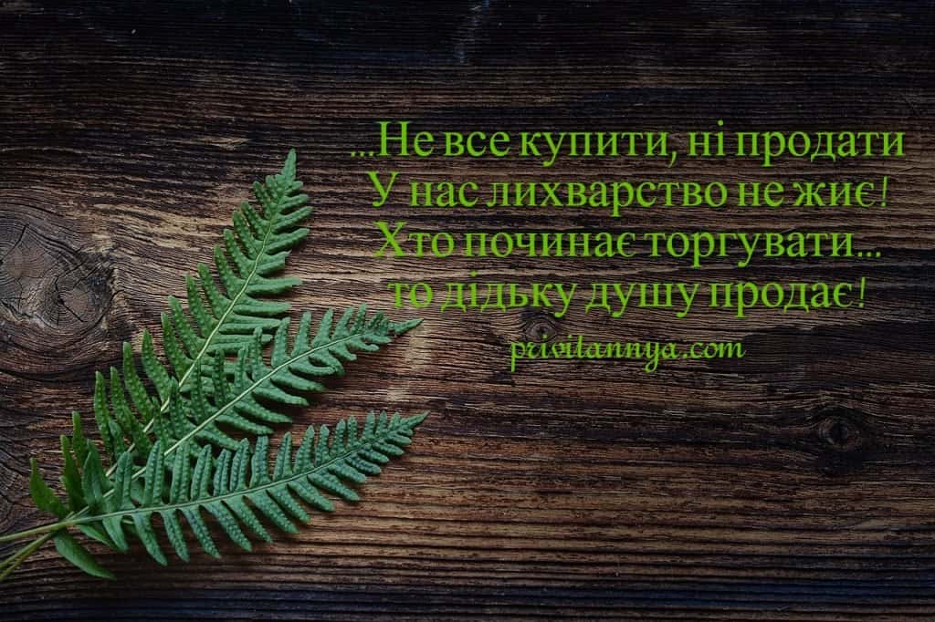 Вірш про поетів українською мовою. Гарний вірш про творчість поетів