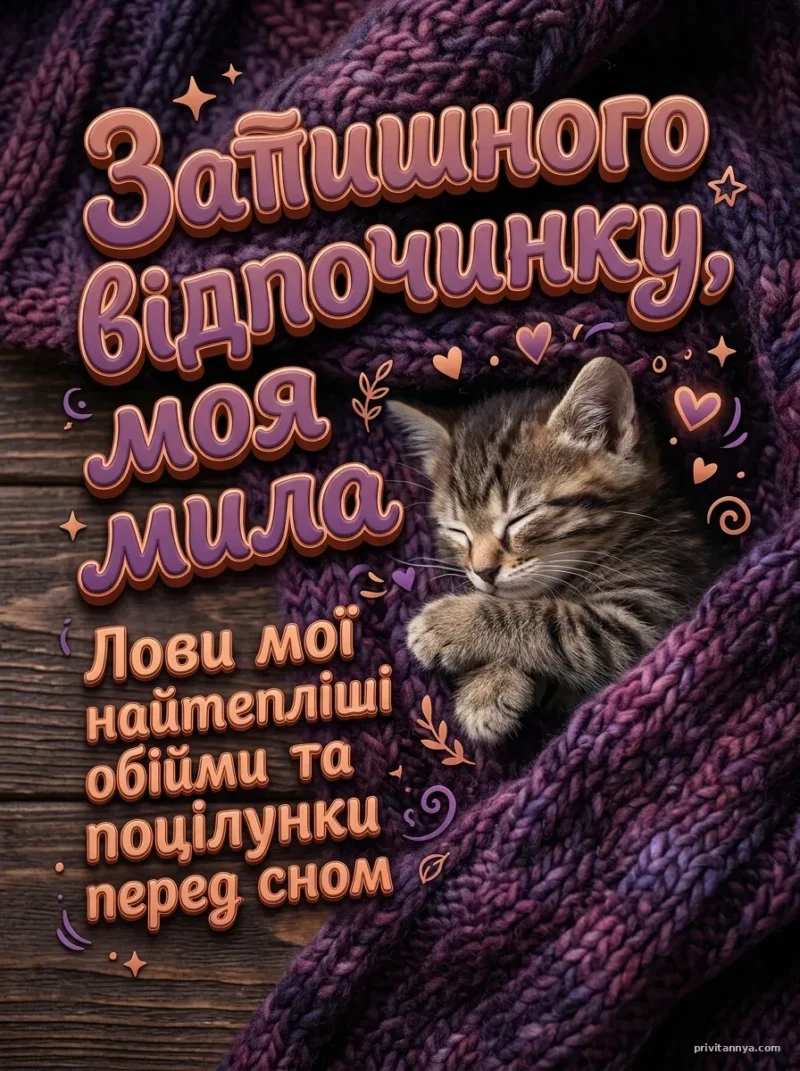 Сплячий котик під пледом — Листівка солодких снів